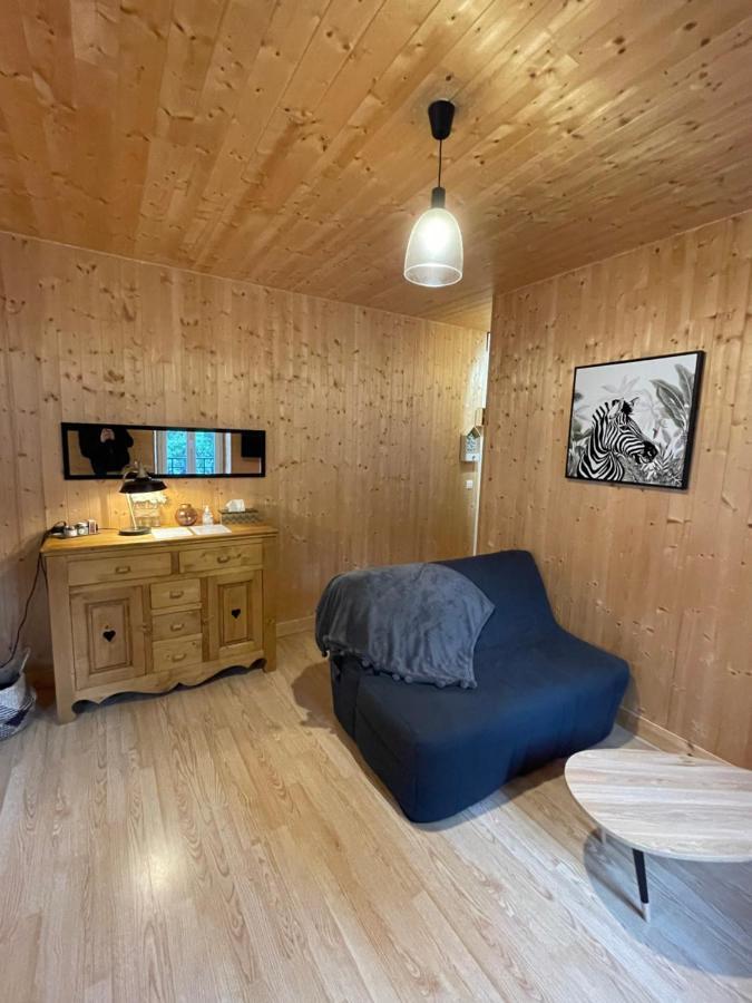 Appt Lumineux Centre Ville Du Mont Dore Vue Sancy Εξωτερικό φωτογραφία